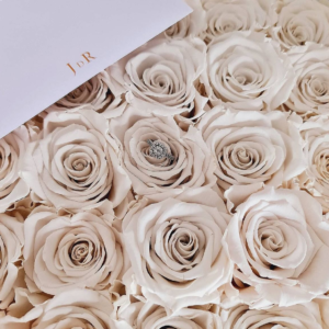 The Timeless 25: Always & Forever Rose Collection